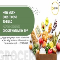 Grocery delivery mobile application like instacart in India